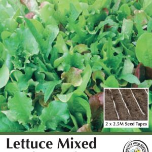 Lettuce Mixed 'Cut & Grow' Seed Tape in Pictorial Packet - 5m