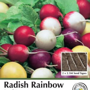 Radish Rainbow Seed Tape in Pictorial Packet - 5m