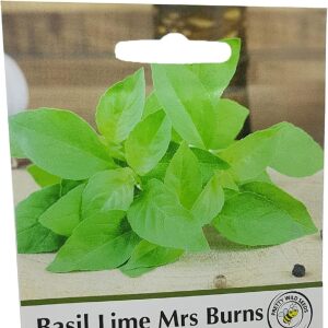 Basil Lime Mrs Burns Herb Seeds in Pictorial Packet