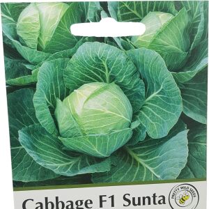 Cabbage Sunta F1 Pictorial Packet